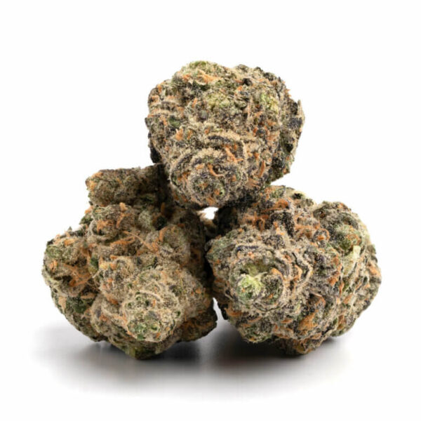 Hoogwaardige Gary Payton Strain in Bulk