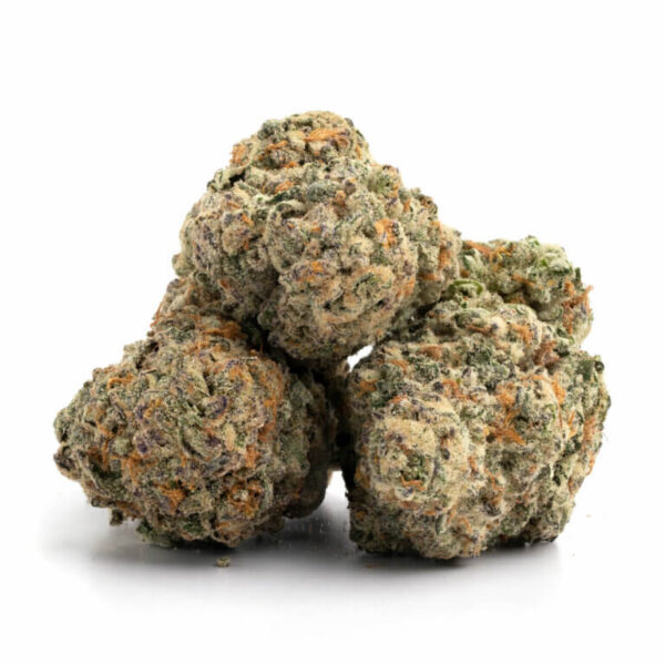Hoogwaardige Golden Pineapple Strain in Bulk