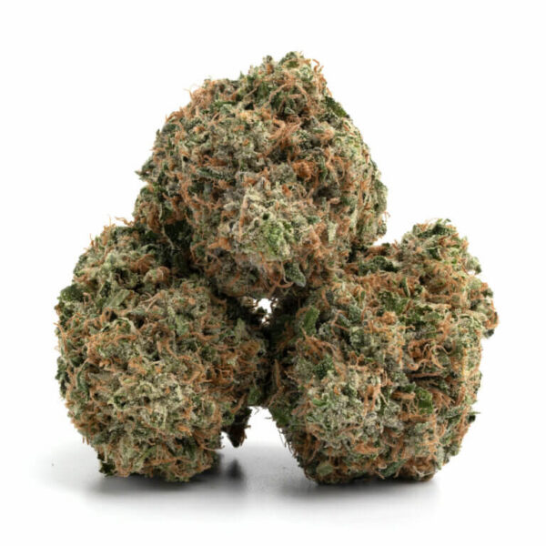 Hoogwaardige Grease Monkey Strain in Bulk