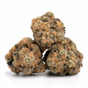 Afbeelding van Gelonade cannabis bloem met citrus en bloemige tonen.