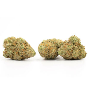 Afbeelding van Skunkberry cannabissoort – Hybride met hoog THC-gehalte