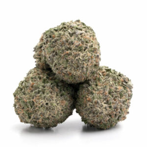 First Class Funk Cannabis Strain - Groothandel Indica-Hybride