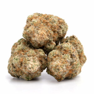GMO Cookies cannabisstrain met knoflookaroma's en krachtige effecten.