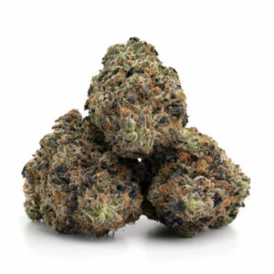 Galactic Gas cannabis strain voor groothandel in Nederland