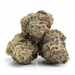 Gelatti cannabis strain hybride bloem groothandel Nederland