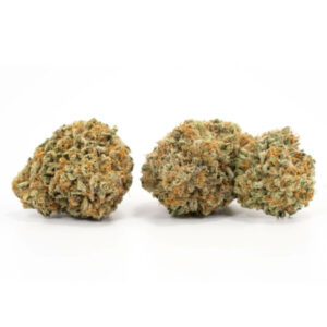 Glueberry OG cannabis zaden - Sativa-dominante hybride met hoge opbrengst