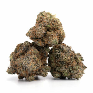 Gorilla Goo cannabis strain - THC-rijk, hybride, groothandel Nederland