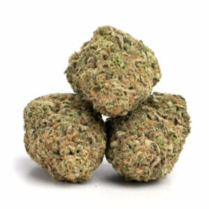 Hawaiian Lights cannabis strain met tropische aroma's en energieke effecten.