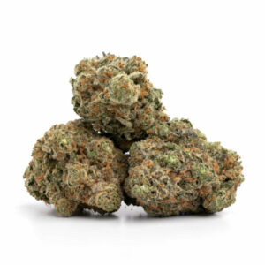 High Octane OG Cannabis Soort – Snelwerkende Sativa voor Groothandel