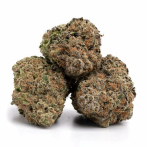 Hoogwaardige Sapphire Star cannabis strain voor groothandel in Nederland