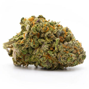 J1 Sativa-dominante Hybride - Verfrissende Cannabis Strain voor Groothandel Wo