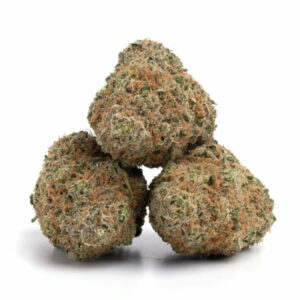 Juicy Fruit Cannabis - Premium Strain voor Groothandel