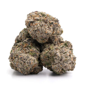 Jungle Driver cannabis strain - Indica-dominante hybride