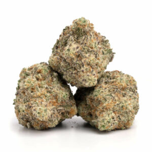 Kmac Cannabis Strain voor Groothandel in Nederland