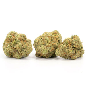 Lemon Gelato cannabissoort met citroen- en bessensmaak, dichtbegroeide toppen.