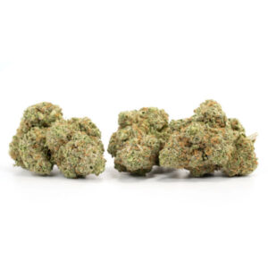 Lucky Charms cannabis strain voor groothandel