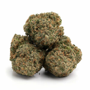 Mac and Cheese cannabissoort - premium toppen voor groothandel