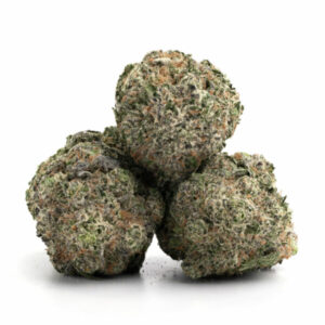 Pacman wietsoort – Indica dominante hybride cannabis
