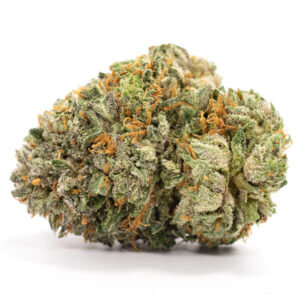 Panama Red Sativa cannabis bloemen met rode haren