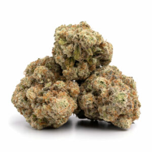 Papaya Cake cannabis strain met tropische aroma's en Indica-dominante effecten