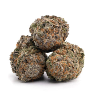 Permanent Marker cannabis strain met hoog THC-gehalte voor groothandel in Nederland.