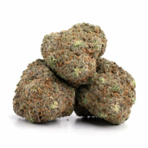 Pineapple Chunk cannabisstrain – krachtige Indica-dominante wietsoort voor groothandel in Nederland