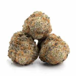 Pink Lemonade wiet - Sativa dominante cannabis met citrus aroma voor groothandel