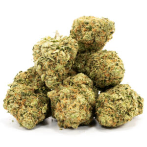 Pink Sumo cannabis strain voor groothandel in Nederland