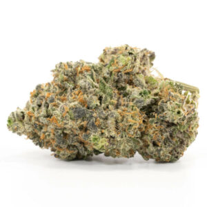 Purple Cheesequake cannabis strain – paarse indica-dominante bloemen voor groothandel.