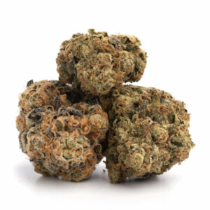 Purple Voodoo cannabis strain close-up
