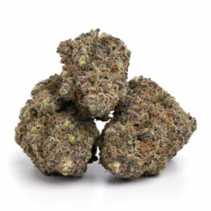Purple White Lightning cannabis strain – krachtige indica-dominante hybride