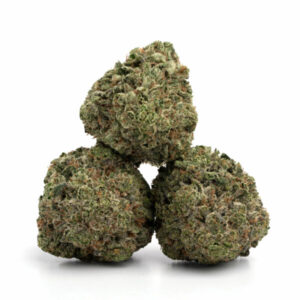 Race Fuel OG cannabis bloem met dieselaroma en hoge THC-waarden.