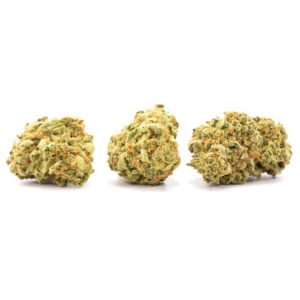 Red Dragon cannabis plant met rode haren en dichte toppen