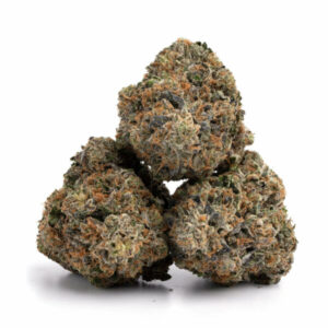 Rockstar OG wiet - Indica-dominante hybride cannabis voor groothandel
