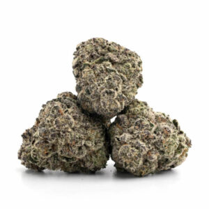 Sangria Slushie Cannabis Strain voor Groothandel in Nederland