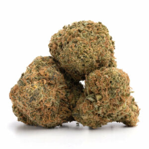 Seattle Blue Cannabis Strain - Groothandel in Nederland