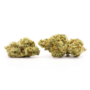 Close-up van Original Glue cannabis strain met rijke, kleverige trichomen