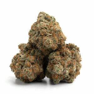 El Chapo cannabis strain close-up