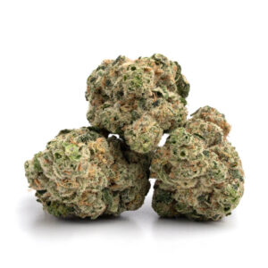Florida Sunrise cannabis strain showcasing vibrant orange and green buds