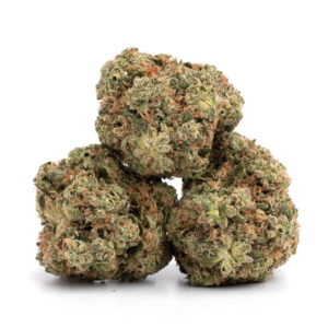 Ghost OG cannabis strain - premium indica voor groothandel in Nederland