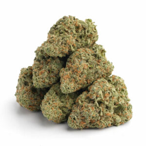 God Bud cannabis zaadjes met krachtige effecten en hoge opbrengst - ideaal voor groothandel