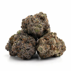 Granddaddy Pluto cannabisstrain in bulk voor groothandel