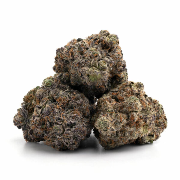 Granddaddy Pluto cannabisstrain in bulk voor groothandel