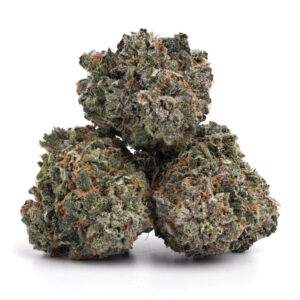 Grape God cannabis strain buds