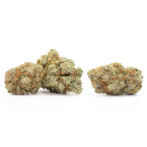 Grape Stomper cannabis strain - premium hybride voor groothandel in Nederland