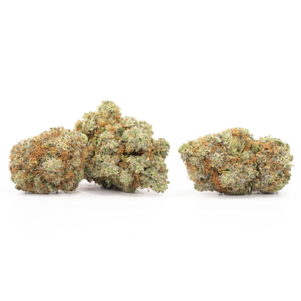 Grape Stomper cannabis strain - premium hybride voor groothandel in Nederland