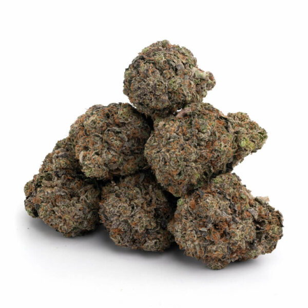 Greasy Pink cannabiszaad