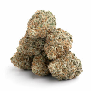 Hawaiian Snow cannabis zaadjes met cerebrale effecten en tropische smaak - ideaal voor groothandel