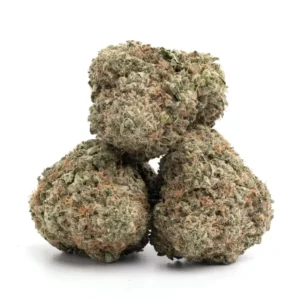 Ice Cream cannabis strain - premium kwaliteit cannabis met romige smaak voor groothandel