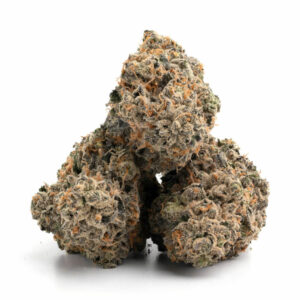 Jealousy cannabis strain - premium kwaliteit cannabis voor groothandel